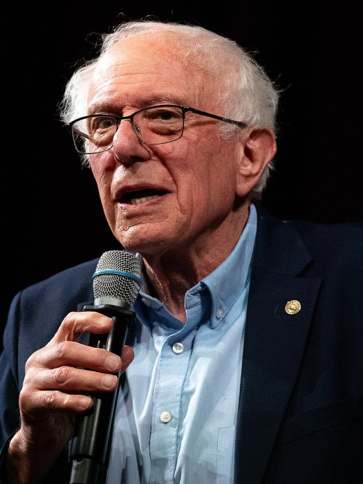 Bernie Sanders portrait