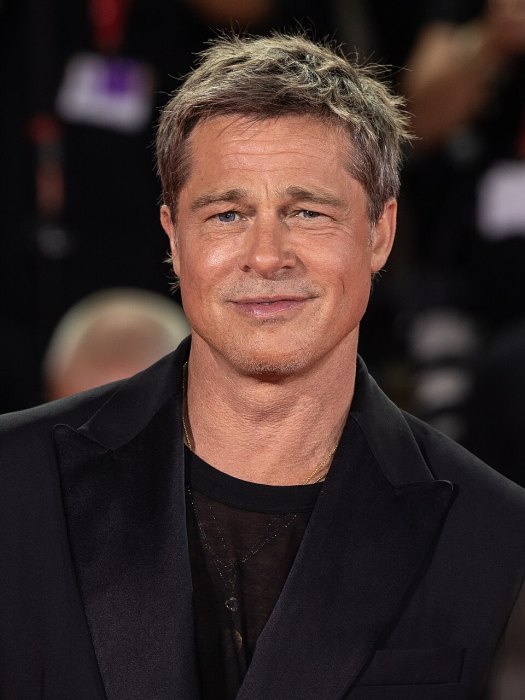 Brad Pitt portrait