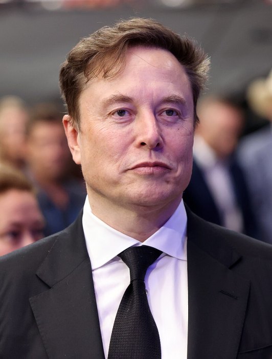 Elon Musk portrait