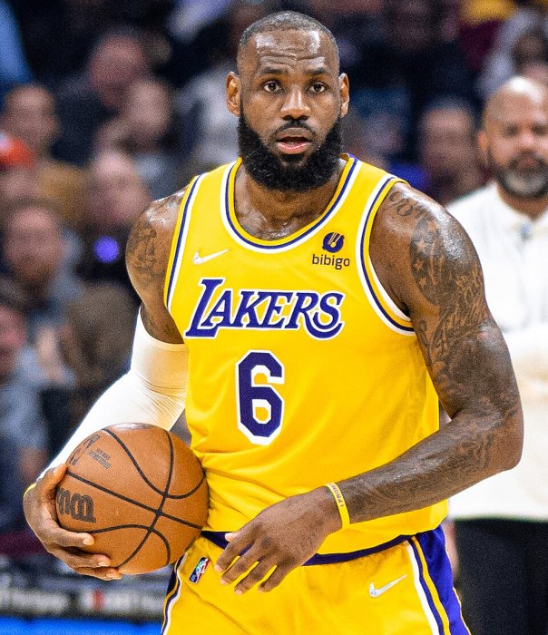 LeBron James portrait