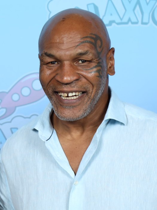 Mike Tyson portrait