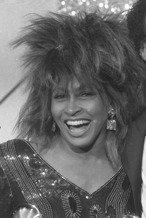 Tina Turner portrait
