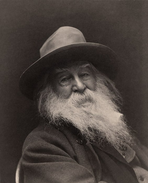 Walt Whitman portrait