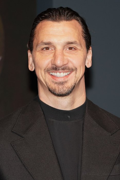 Zlatan Ibrahimovic portrait
